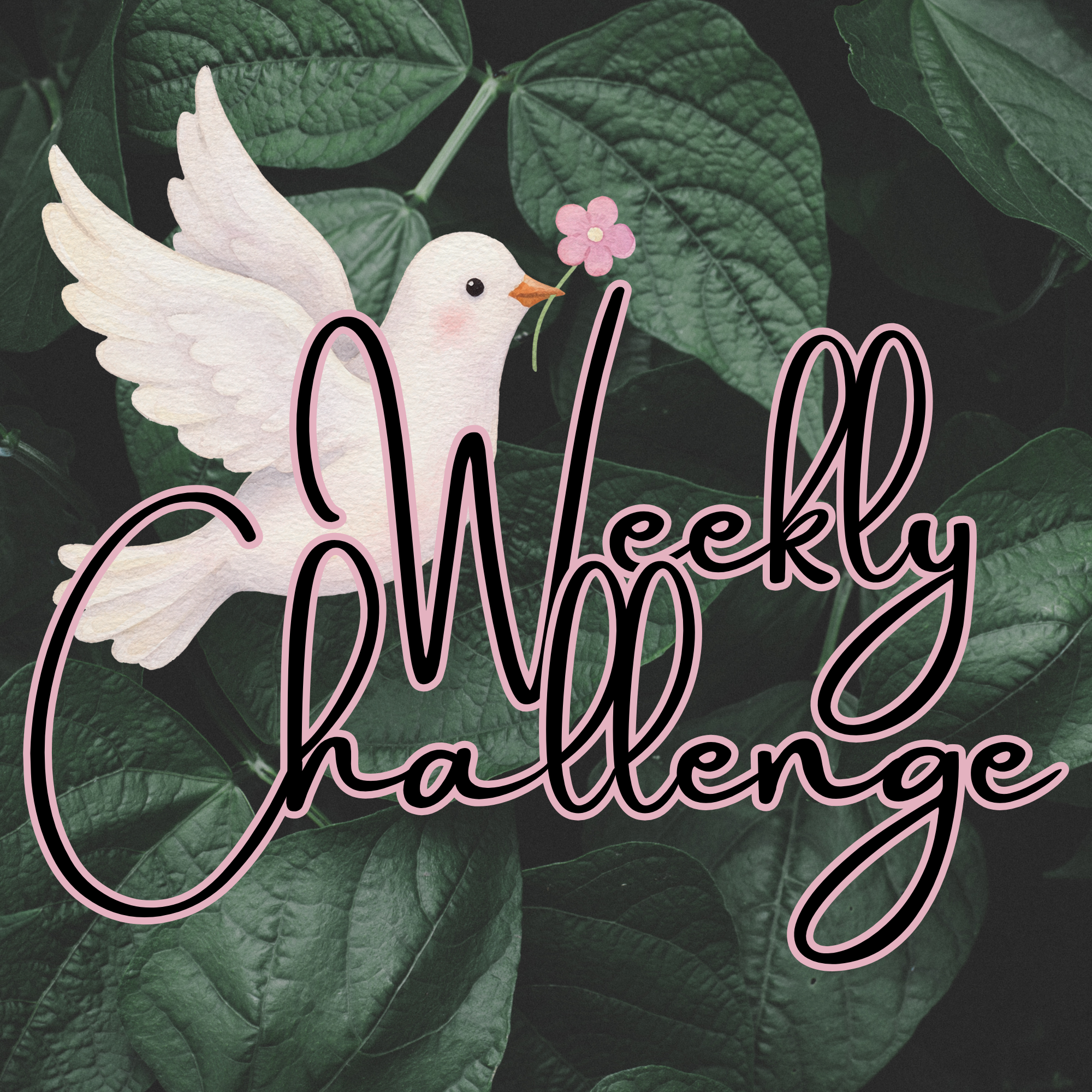 Weekly Challenge